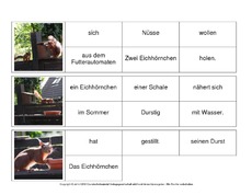 Sätze-bilden-Eichhörnchen 4.pdf